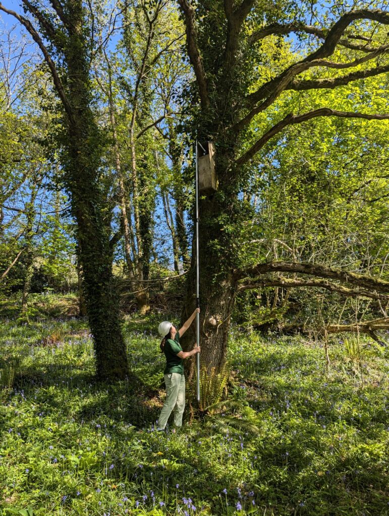 The Barn owl Trust